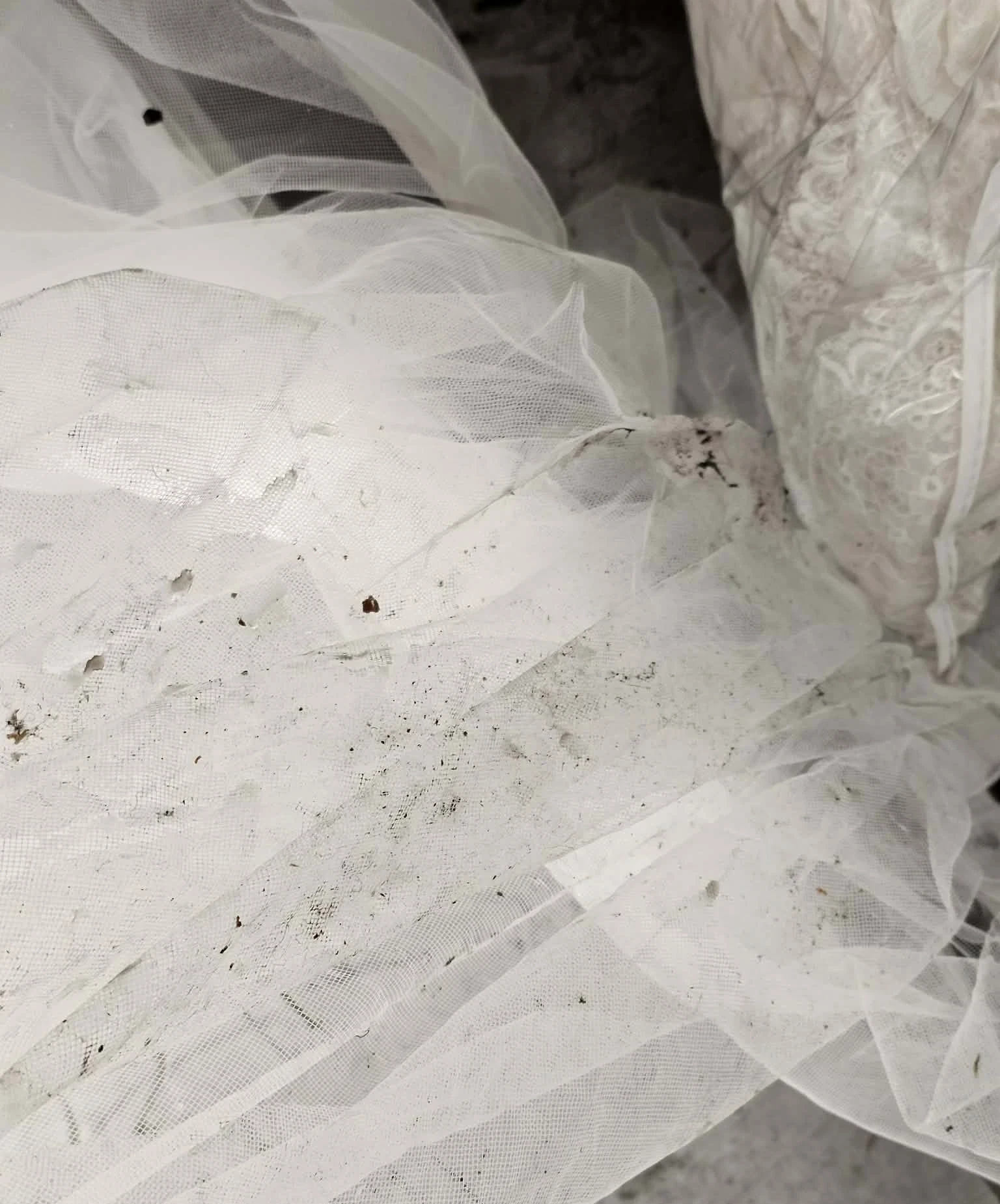 Tulle with dirt and debris